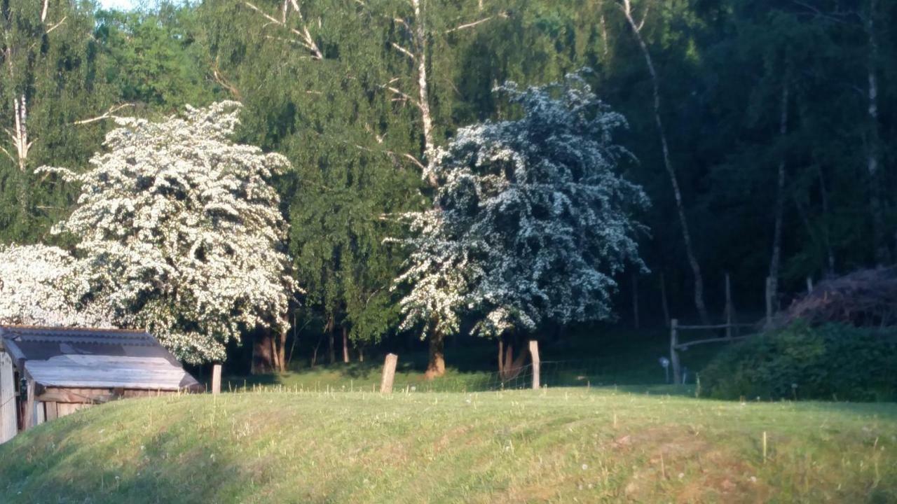 Zimmervermietung Am Holzberg Thallwitz エクステリア 写真